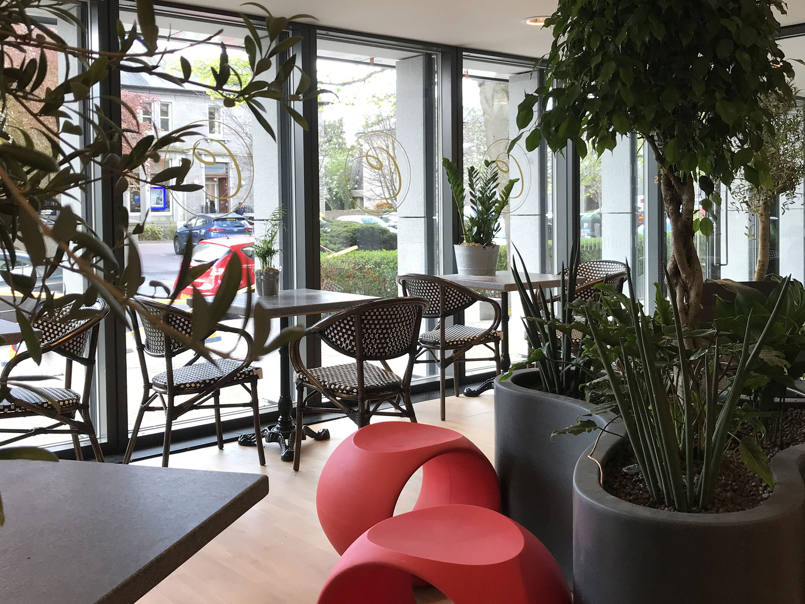 Display of fresh bakes in Cafe Cognito