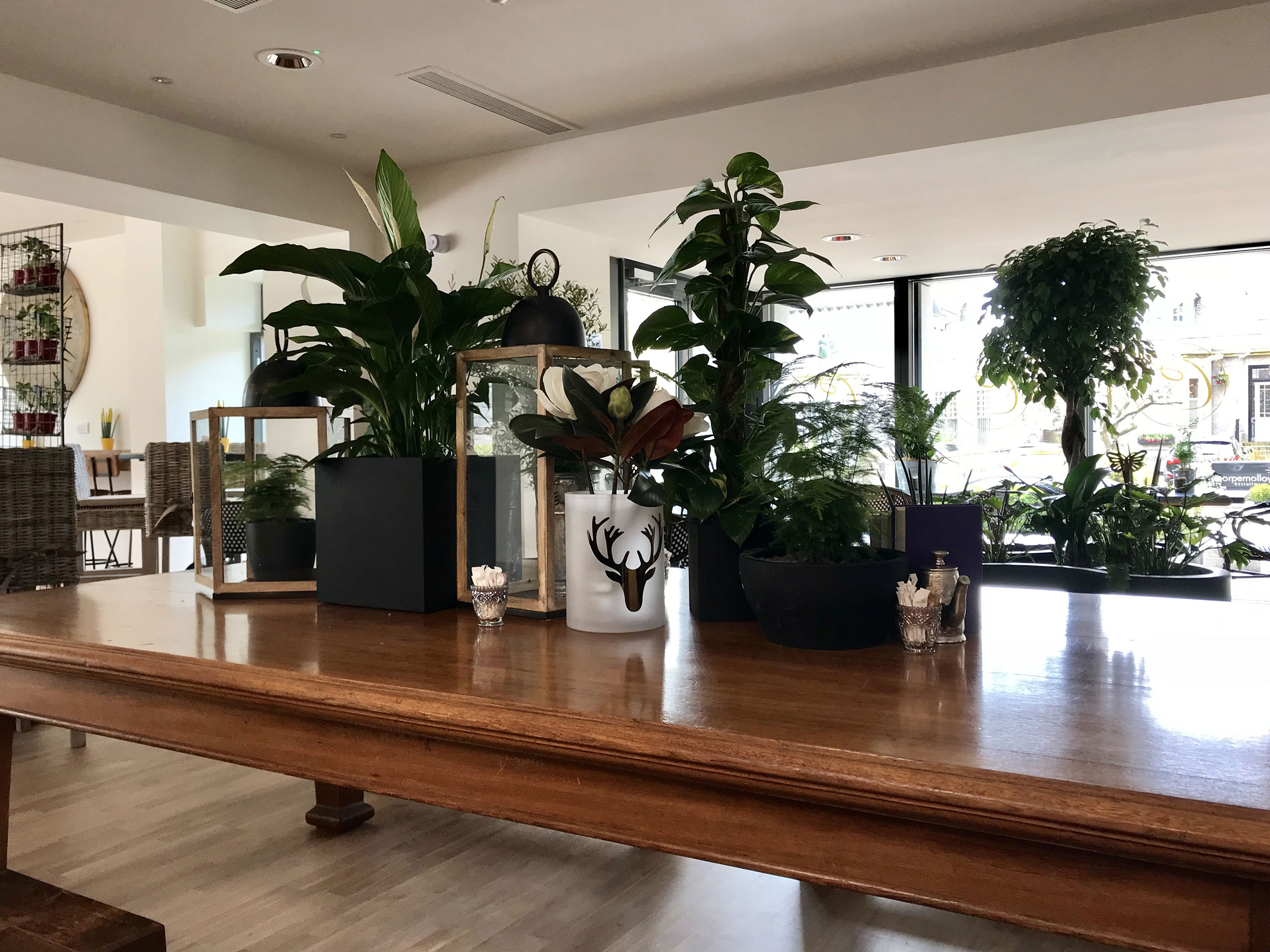 Display of fresh bakes in Cafe Cognito
