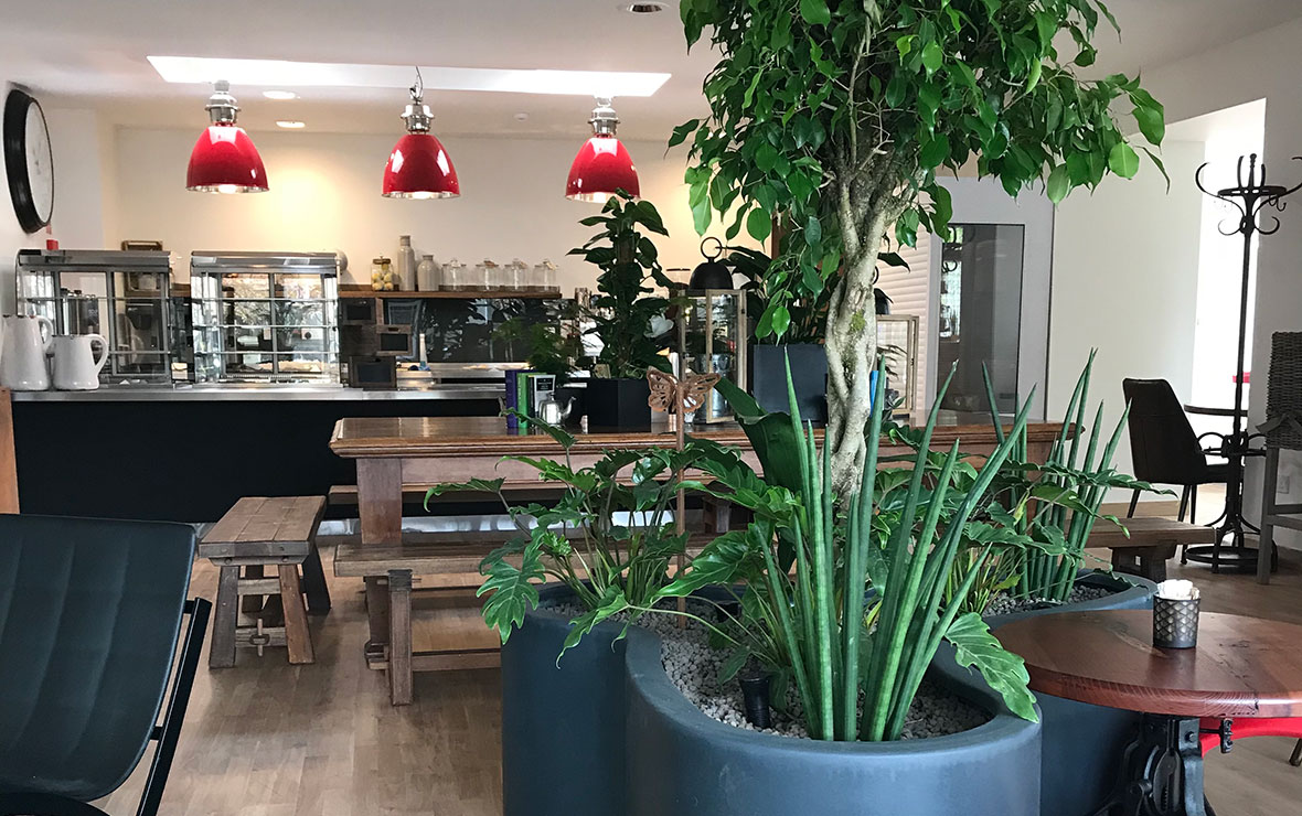 Hot coffee with chocolate cake