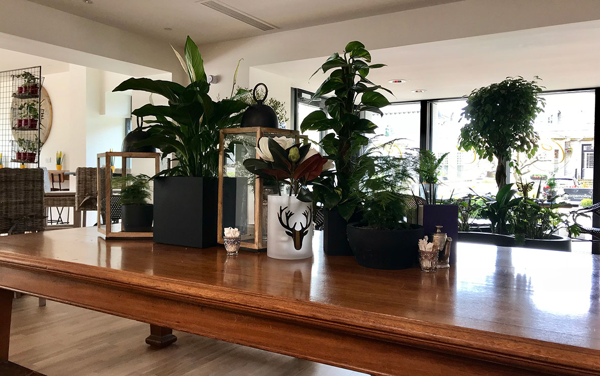 Hot coffee with chocolate cake